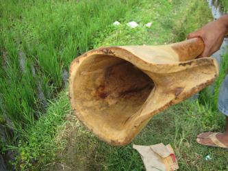 Didgeridoo Eukalyptus 2011-47 