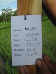 Didgeridoo Eukalyptus 2011-60 