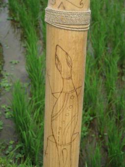 Didgeridoo Bambus Schnabeltier 