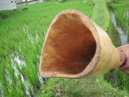 Didgeridoo Eukalyptus 2011-86 