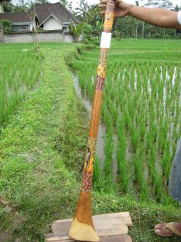 Didgeridoo Eukalyptus 2011-88 