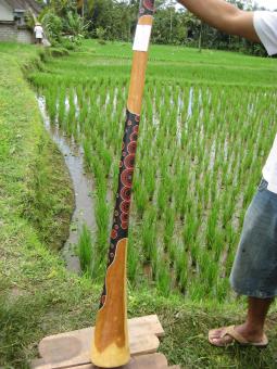 Didgeridoo Eukalyptus 2011-96 