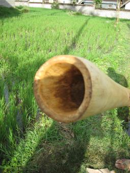 Didgeridoo Eukalyptus 2011-61 