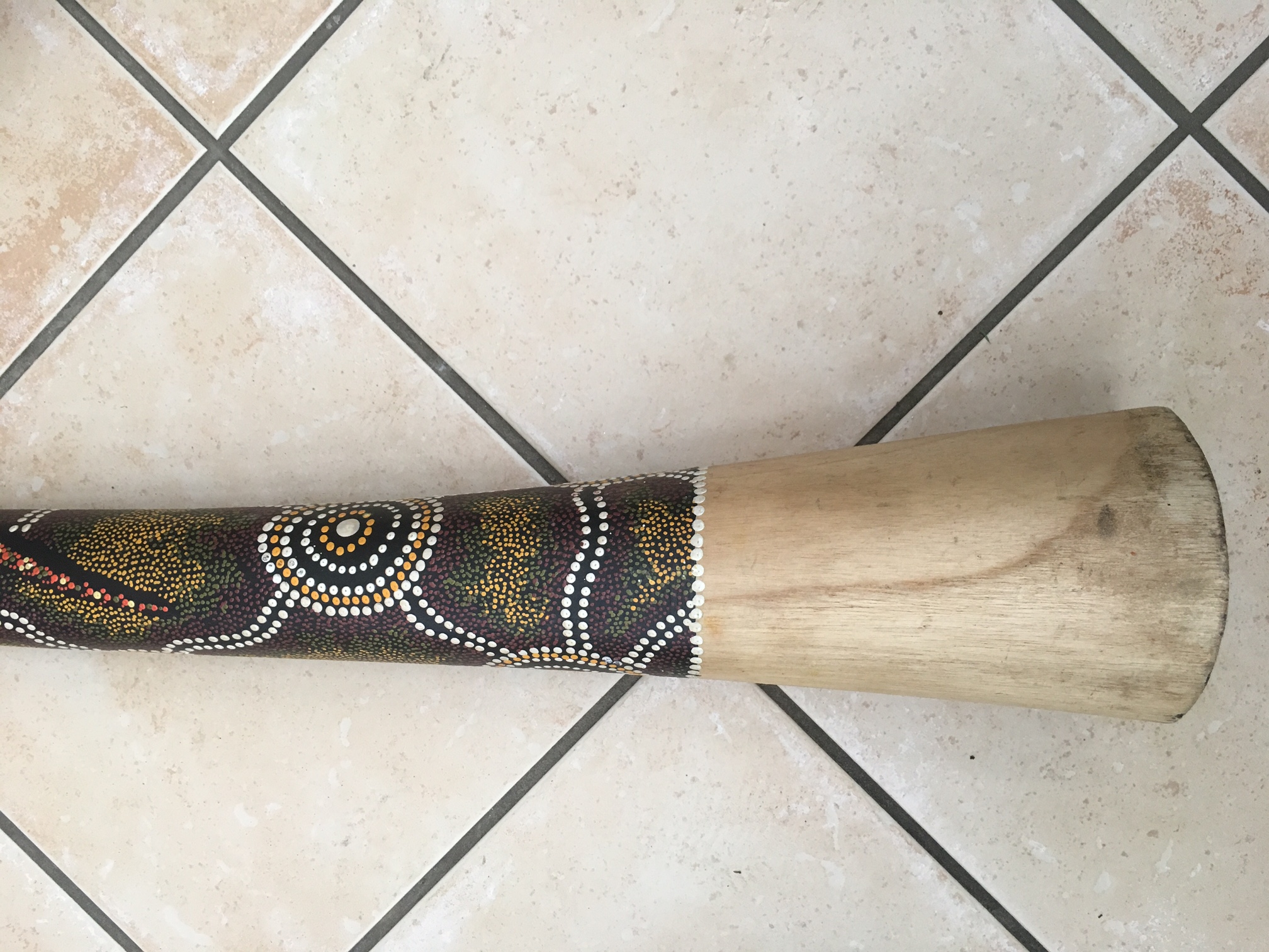 Didgeridoo Gecko Kreise online kaufen
